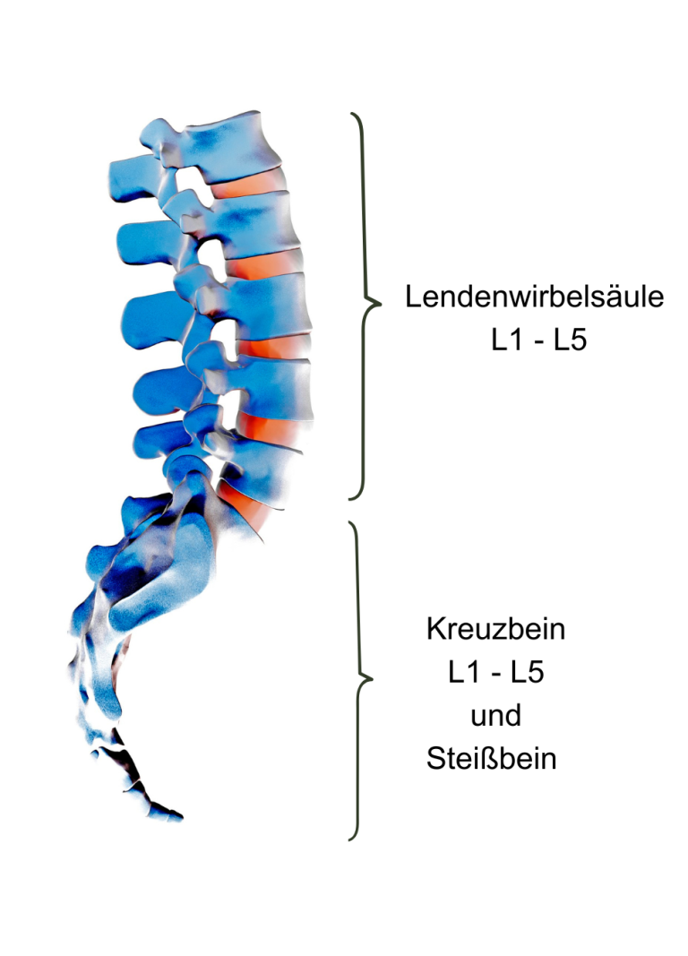 Praxis für Naturheilkunde Melanie Scheibe Heilpraktikerin